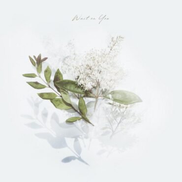 Mt Ossa - Staring At The Ceiling/Only Over You (White S