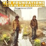FOUNDATIONS, THE - BUILD ME UP BUTTERCUP (INDIE)