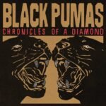 Black Pumas - Chronicles Of A Diamond (Clear Vinyl) vinyl record [vinyl LP]