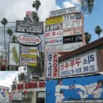 FRIEDBERGER, MATTHEW - CUT IT OUT