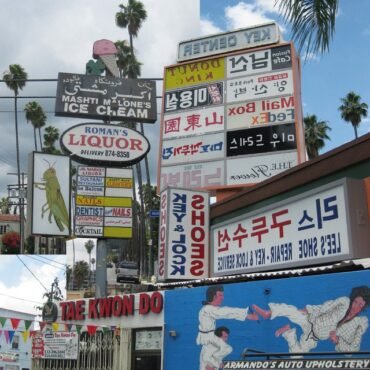 FRIEDBERGER, MATTHEW - CUT IT OUT