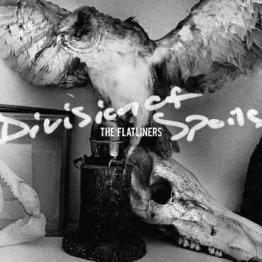 FLATLINERS, THE - DIVISION OF SPOILS: B-SIDES & RARITIES