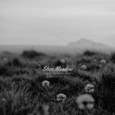 GIBSON, JON - VISITATIONS