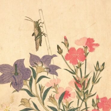 Chypho - Entomongaku Ii