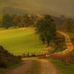 FLOGGING MOLLY - WITHIN A MILE OF HOME (REISSUE)