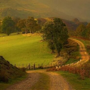 FLOGGING MOLLY - WITHIN A MILE OF HOME (REISSUE)
