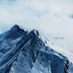 Civic - Future Forecast (White Vinyl)