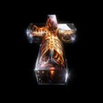 GOVERNMENT ISSUE - THE FUN JUST NEVER ENDS