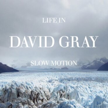 GRAY, DAVID - LIFE IN SLOW MOTION (20TH ANNIVERSARY GREEN)