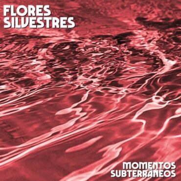 FLORES SILVESTRES - MOMENTOS SUBTERRANEOS