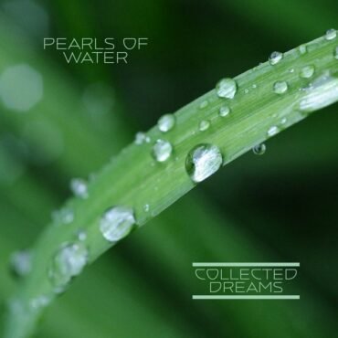 ELEPHANT RIFLE - BROKEN WATER (COLOR)