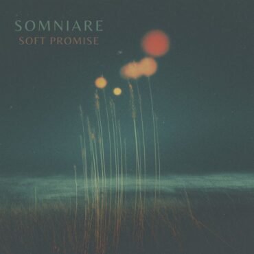 Black Market Baby - Senseless Offerings