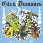 Citric Dummies Split With Turnstile
