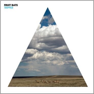 FRUIT BATS, THE - TRIPPER (DELUXE)