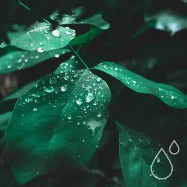 GREAT ELECTRIC QUEST - CHAPTER 1