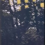 Claimed Choice - Genuinely Crafted Noise