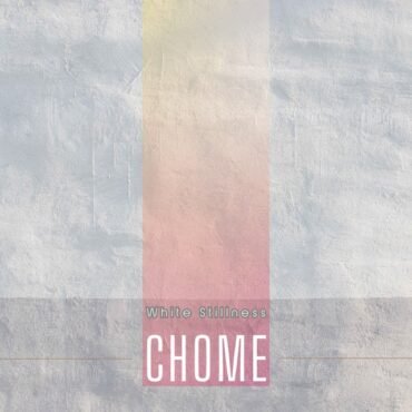 IDLES - CAUGHT STEALING O.S.T. (WHITE)