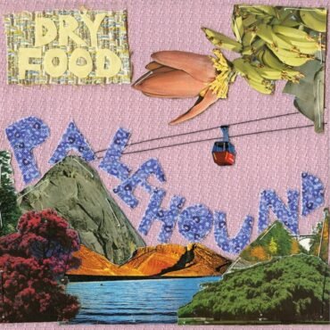 Palehound - DRY FOOD vinyl record