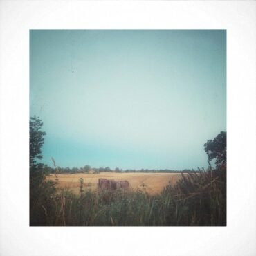 Nilsson, Harry - Son Of Schmilsson (45 Rpm 180 Gr)