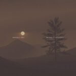 M.D.C. - THE LAST WAR (RED MARBLE) vinyl record