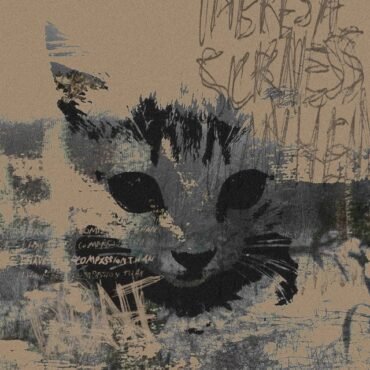 Pointed Sticks - Waiting For The Real Thing (Black)