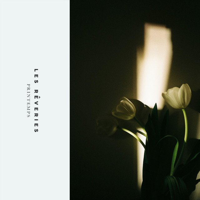 Monsieur Paul Et Les Solutions - Surrealiste & Fantasmagorique