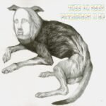 Thee Oh Sees - PUTRIFIERS II vinyl record