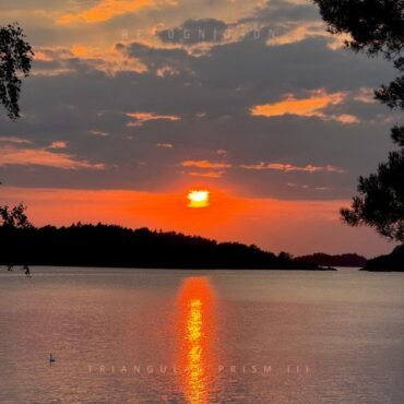 REAGAN YOUTH - VOLUME III: LIFE & TIMES REVISITED (RED)