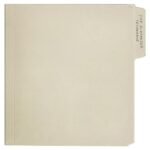 Rex Orange County - The Alexander Technique (Indie)