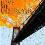 LOVE ME DESTROYER - THE THINGS AROUND US BURN