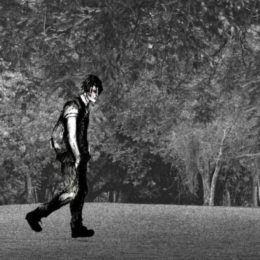 The Plains - I WALKED WITH YOU A WAYS (INDIE) vinyl record