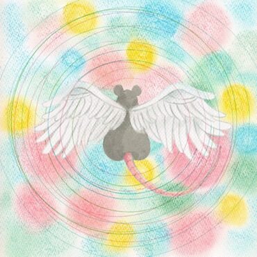 SEMONES, MEI - ANIMARU