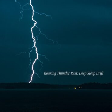 SELLWOODS - HOUSE ROCKIN' PARTY TONIGHT