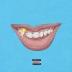 SMILE, THE - CUTOUTS (INDIE)