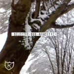 SELECTOR DUB NARCOTIC - WHEN BOYS CRY