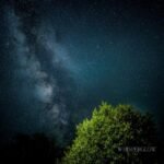 BROTHER CANE - WISHPOOL (SILVER)