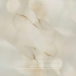 WHITE DENIM/MAPS & ATLASES - DAYTROTTER VINYL SERIES NO.5 (180 GR)