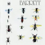 Syd Barrett - BARRETT vinyl record album art