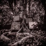 WASHINGTON, KAMASI - HARMONY OF DIFFERENCE vinyl record album art