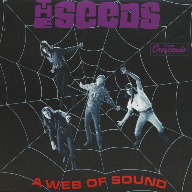 The Seeds - A WEB OF SOUND vinyl record