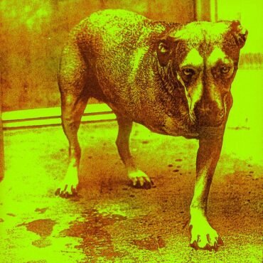 ALICE IN CHAINS - ALICE IN CHAINS