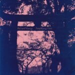 Richard Youngs - AMPLIFYING HOST vinyl record