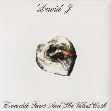 David J - CROCODILE TEARS & THE VELVET COSH vinyl record [vinyl LP]