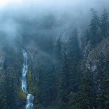Wolves In The Throne Room - DIADEM OF 12 STARS vinyl record