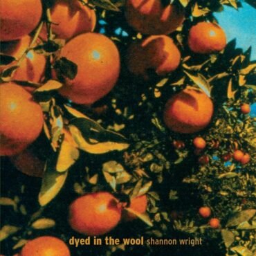 Shannon Wright - DYED IN THE WOOL vinyl record