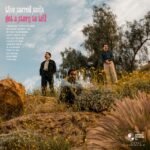 Thee Sacred Souls - Got A Story To Tell vinyl record [vinyl LP]