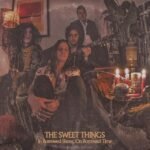 The Sweet Things In Borrowed Shoes, On Borrowed Time