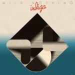 Wild Nothing - INDIGO vinyl record
