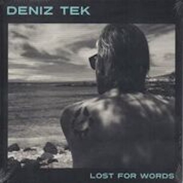 Deniz Tek - LOST FOR WORDS vinyl record