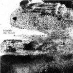 Mamiffer - MARE DECENDRII vinyl record